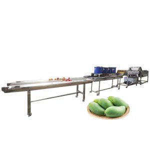 China Hot selling 2000kg Vegetables Washing Processing Machines Line by Huafood on sale
