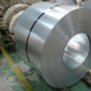 Cold Rolled  Galvanized Steel Products Pre Painted Ppgi Steel Coil