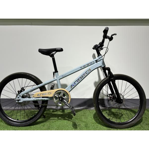 Professional 20-26 Inch MTB Mountain Bikes Shimano Tourney Rear Derailleur and Disc Brakes