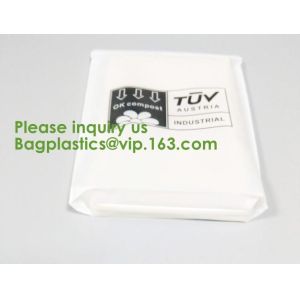 China Cashew; Pistachio Nuts;Coconut; Potato Chips;Puffed Food;Instant Noodle; Underwear; Swimsuit; Swinwear, bagease, package on sale