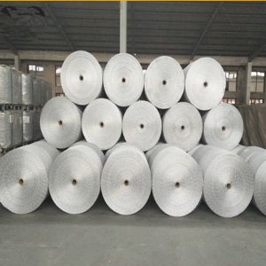 Weave Mesh Chicken Hex Wire Mesh Netting Hexagonal Wire Mesh