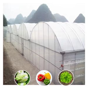 Modular Poly Tunnel Greenhouse Customizable Layouts for Vegetables Flowers