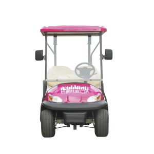 Chinese Manufacturer Color Optional 4 Seats Golf Car Tourist Car for Golf Course