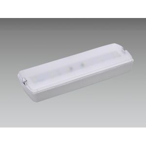Quality IP42 Waterproof Emergency Light Fixture ABS Recessed Surface Wall Recessed for sale