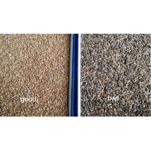 Wenyao 2 Chutes Wheat Grain Color Sorter With 5340 Pixel CCD