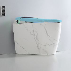 One Piece Siphonic Smart Bathroom Toilet Mix Pit Spacing 300mm