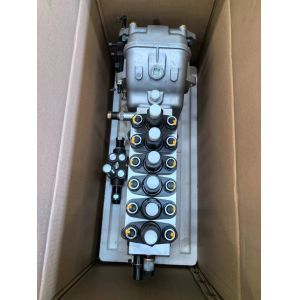 Weichai X6170 P11 fuel injection pump 1002376848 genuine parts