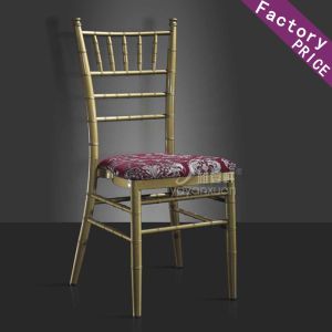 Quality Chiavari Chairs for sale with Wholesale Cost and High Quality (YF-259) for sale