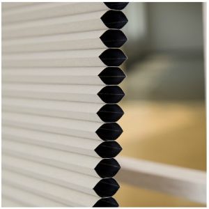 Contemporary Windows Shades Blinds Beige with Pleated Venetian style