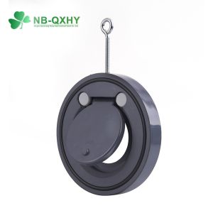 Pn10 200psi PVC Wafer Check Valve with Customized Request Option
