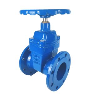 Quality ANSI 150LB PN16 Ductile Iron Resilient Seat Cast Iron Gate Valve For Water Treatment for sale