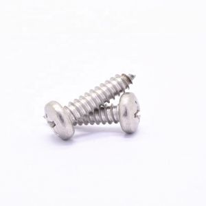 Ss304 Din7981 St3.5*13mm Phillips Head Self Tapping Screw