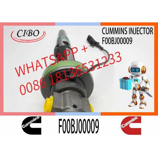 Construction Machinery Parts Fuel Injector For QSK19 Diesel 0986435616 F00BJO0008 F00BJ00009 For CUMMINS Diesel Engine