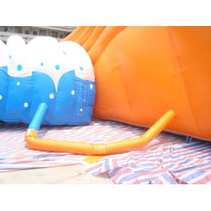 Rental business / Party Amusement Inflatable Water Park Octopus Slide