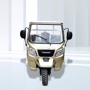 Three Wheel Motorcycle Bajaj Motor Tricycle with 500kg Curb Weight and 5.0-12