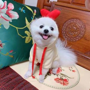 Fruit Shape Cloth material 1kg Pets Wearing Clothes