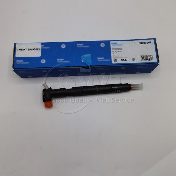 Genuine DELPHI Diesel Fuel Injectors 28489562 25183185 25195088