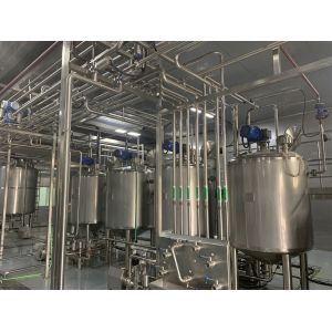 Sanaisi Mango Fruit Processing Line Stainless Steel