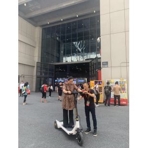 36V Electric E Scooter