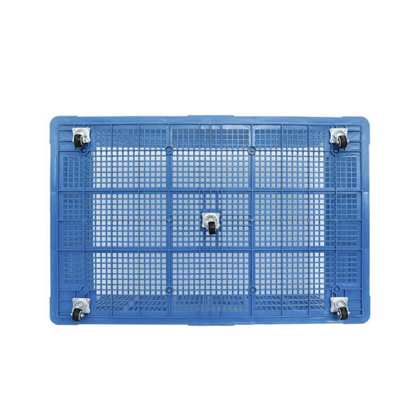 Foldable Chicken Egg Tray 60 Eggs Plastic Chicken Transport Crate Free Samples