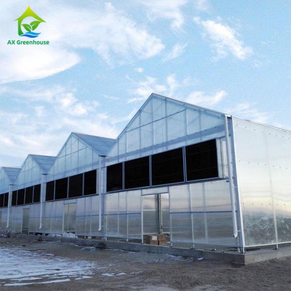 Buy Commercial Blackout Light Deprivation Greenhouse Medical Plants Growing at wholesale prices