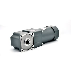 Hot sale Micro Motor AC 25W single Phase reduction Motors speed controller