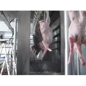 Automatic Halal Poultry Slaughter Machine 500 bph Chicken Plucking Machine