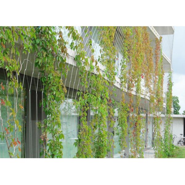 Trellis Climbing 304L Stainless Steel Rope Mesh Wtih Ferrule