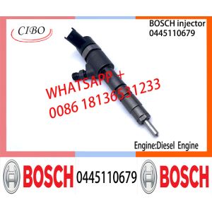 BOSCH 0445110463 0445110464 0445110577 0445110679 0445110576 Common Rail Fuel