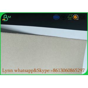 Wood Pulp Coated Duplex Board , Different Type Duplex Board White Back
