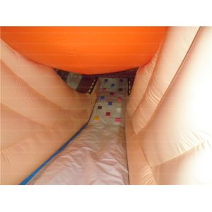 Amazing Inflatable Slide (CYSL-23)