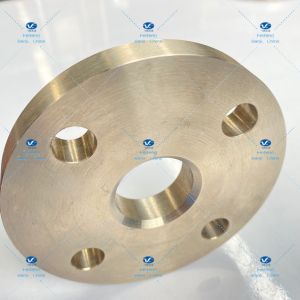 OEM Lightweight Flat Welded Titanium Flanges DN25