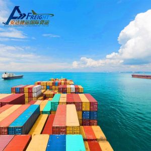 Cheapest Cargo Forwarder By Sea Shipping Service To Pakistan