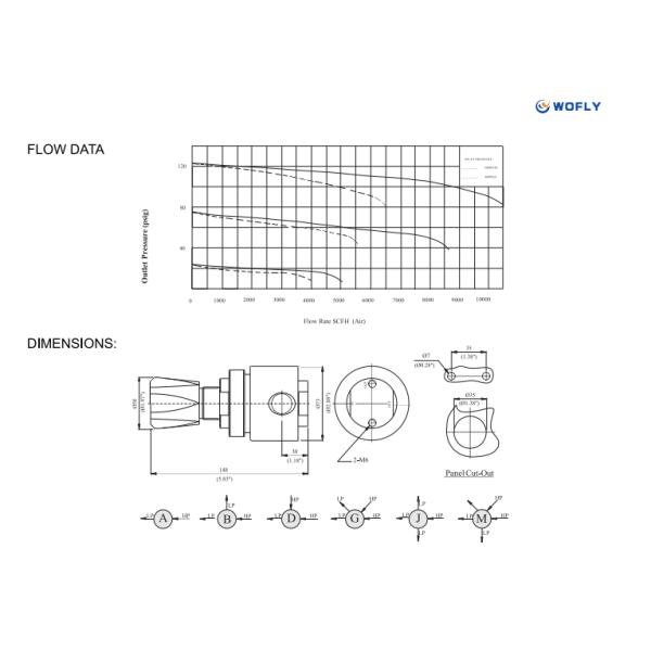 Industrial 1000psi Stainless Steel Pressure Regulator 1.8CV Single Stage Diaphragm Type