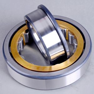 China Full Complement Cylindrical Roller Bearings NJ205 NJ220 NJ200 Series on sale