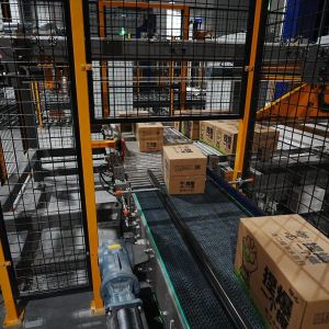 Intelligent Robot Palletizer Automatic Packing Cartons Loading Electric