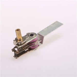 Customizable Multifunctional Temperature Thermostat Heater for B2B Sales