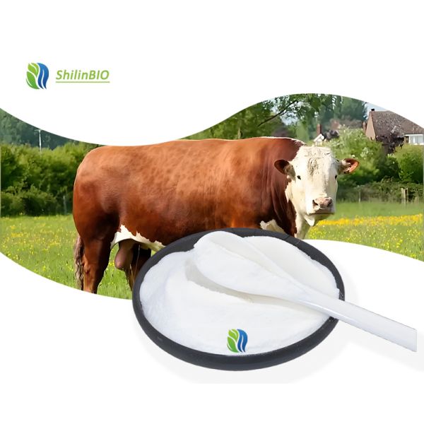 Buy Cosmetic Grade Elastin Peptides 90% Hydrolyzed Elastin Powder at wholesale prices