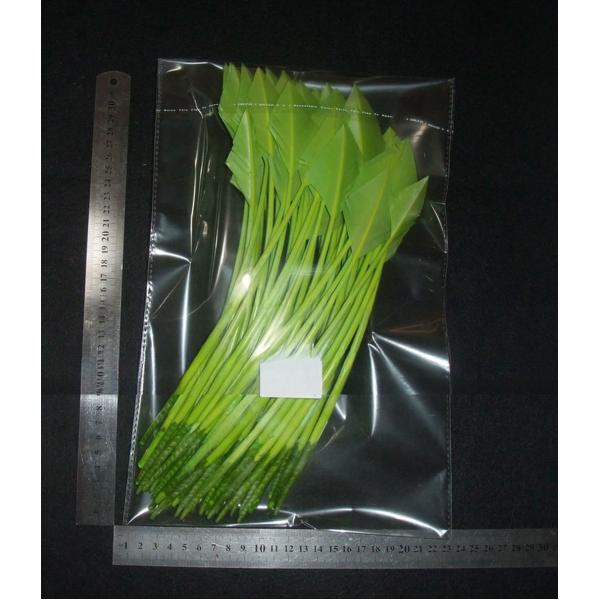 Dyed Arrow Head Striped Turkey Feather Quill with Silk Screen Printing