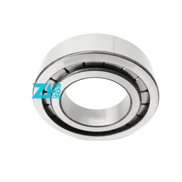 Hydraulic pump bearing F-203740.nup 25x54x21mm single row cylindrical roller bearing F-203740