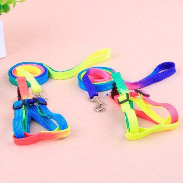 Colorful Pet Traction Rope Nylon Quick Release For Dog