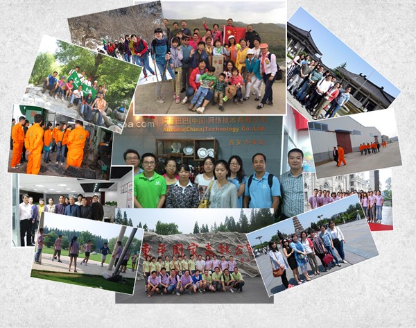 Wantok G252 Garden Hoe Customized Support for Natural Color and OEM