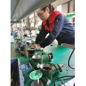 Gas Station Professional Fuel Processing Custom Dispenser BJJ-20-SUMAN