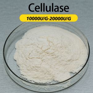Quality Cellulase Enzyme 10000U/G Enzyme Preparation Sample Testing Enzymatic Hydrolysis Technology Guidance for sale
