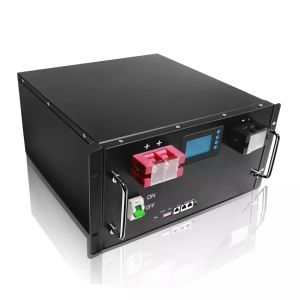LiFePO4 Lithium Battery 48V 100AH 200AH OEM ODM Lithium Ion BMS Rechargeable
