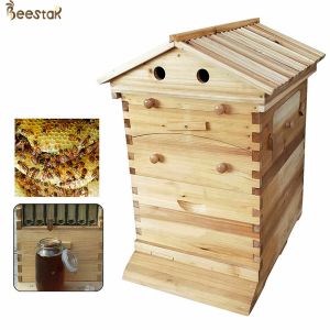 Beehive Apiculture Beekeeping Equipment Automatic Self Flowing for Beekeeping