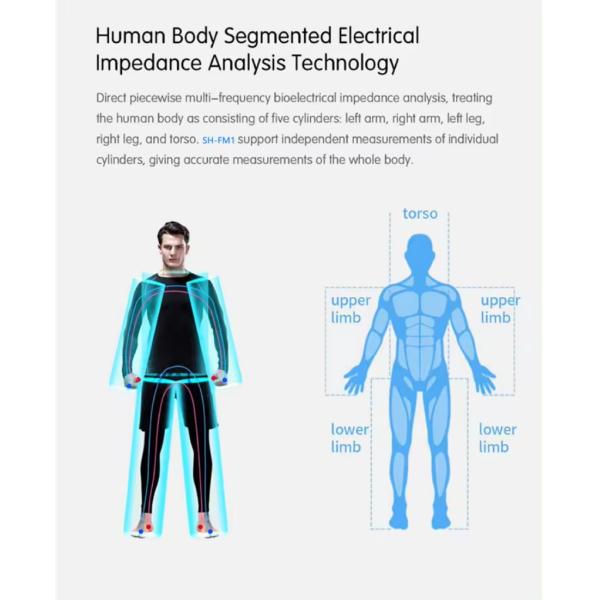 Hot Spa Gym Center Need Body Composition Analyzer 3D Human-Body Elements Analysis Body Analyzer