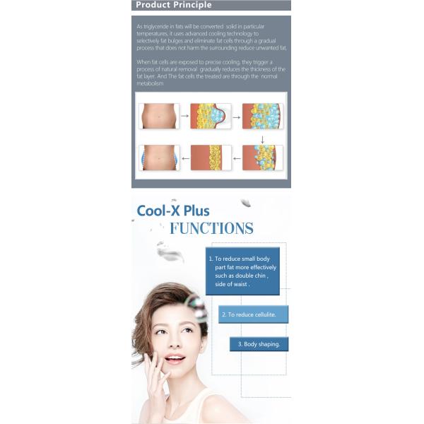 LF-219 Factory Price 4 handles Cryolipolysis Machine/Cool Body Beauty Equipment