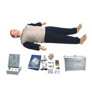Quality School Medical CPR Training Manikins On First Aid for sale