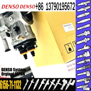 Fuel injection pump Assy 6D125 094000-0463 6156-71-1132